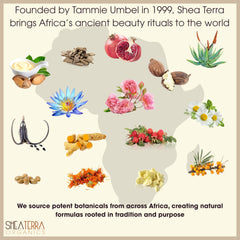 Shea Terra Organics Shea Nilotik Oil mongongo banana closeup for nourishing hair and skin