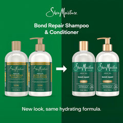 SheaMoisture shampoo and conditioner set pictured together for easy 4-step regimen.