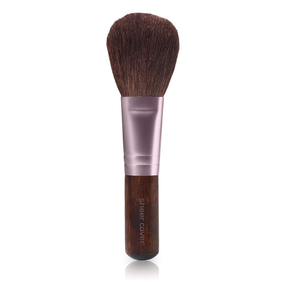 Sheer Cover kit includes free foundation and concealer brushes for easy application.