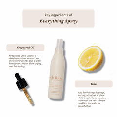 SHIBUI Everything Spray anti-frizz finish — smooth, manageable hair.