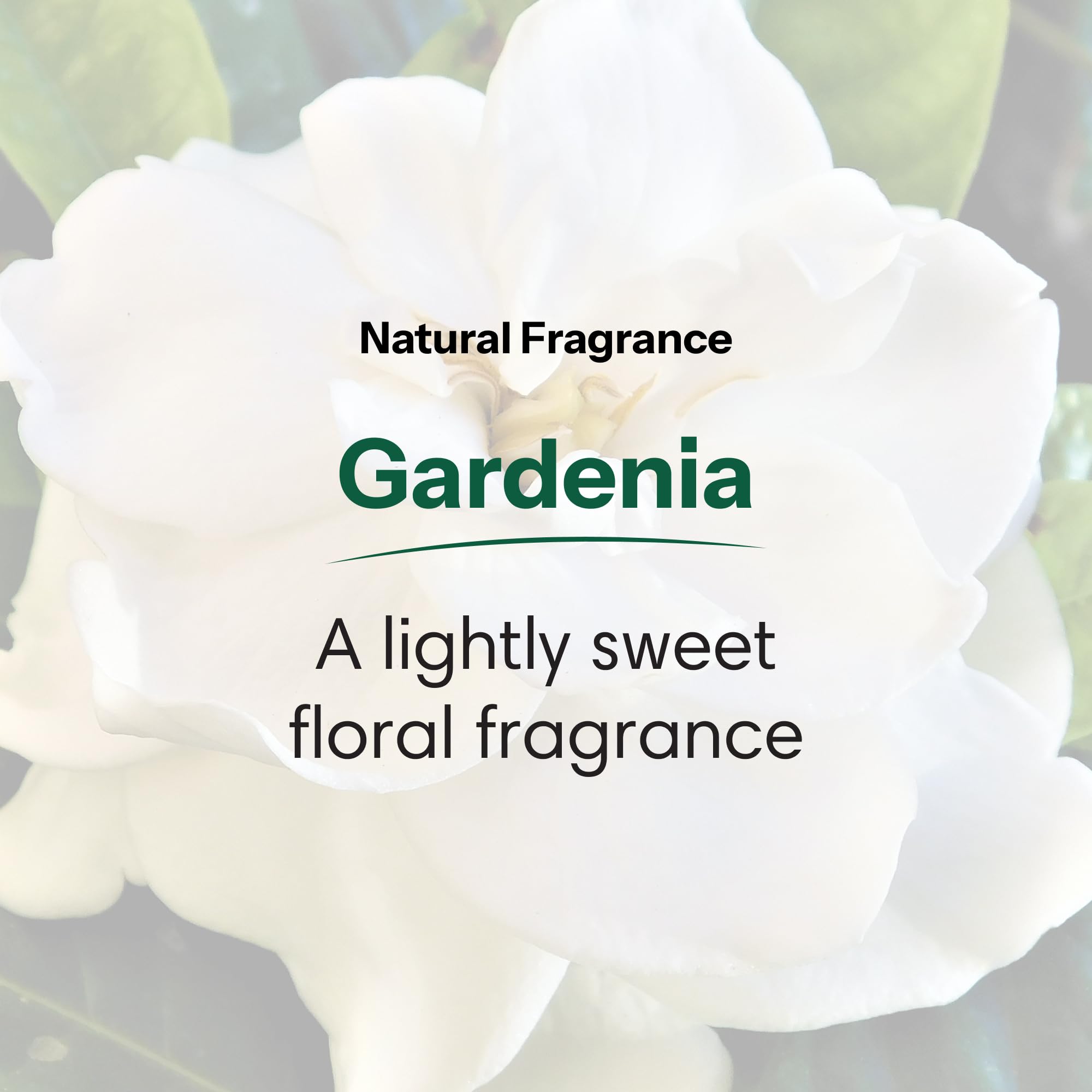 ShiKai Gardenia lather coats skin with aloe and oatmeal for soothing care