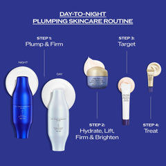 Shiseido Day-to-Night Plumping Set box showcasing the two-step regimen.