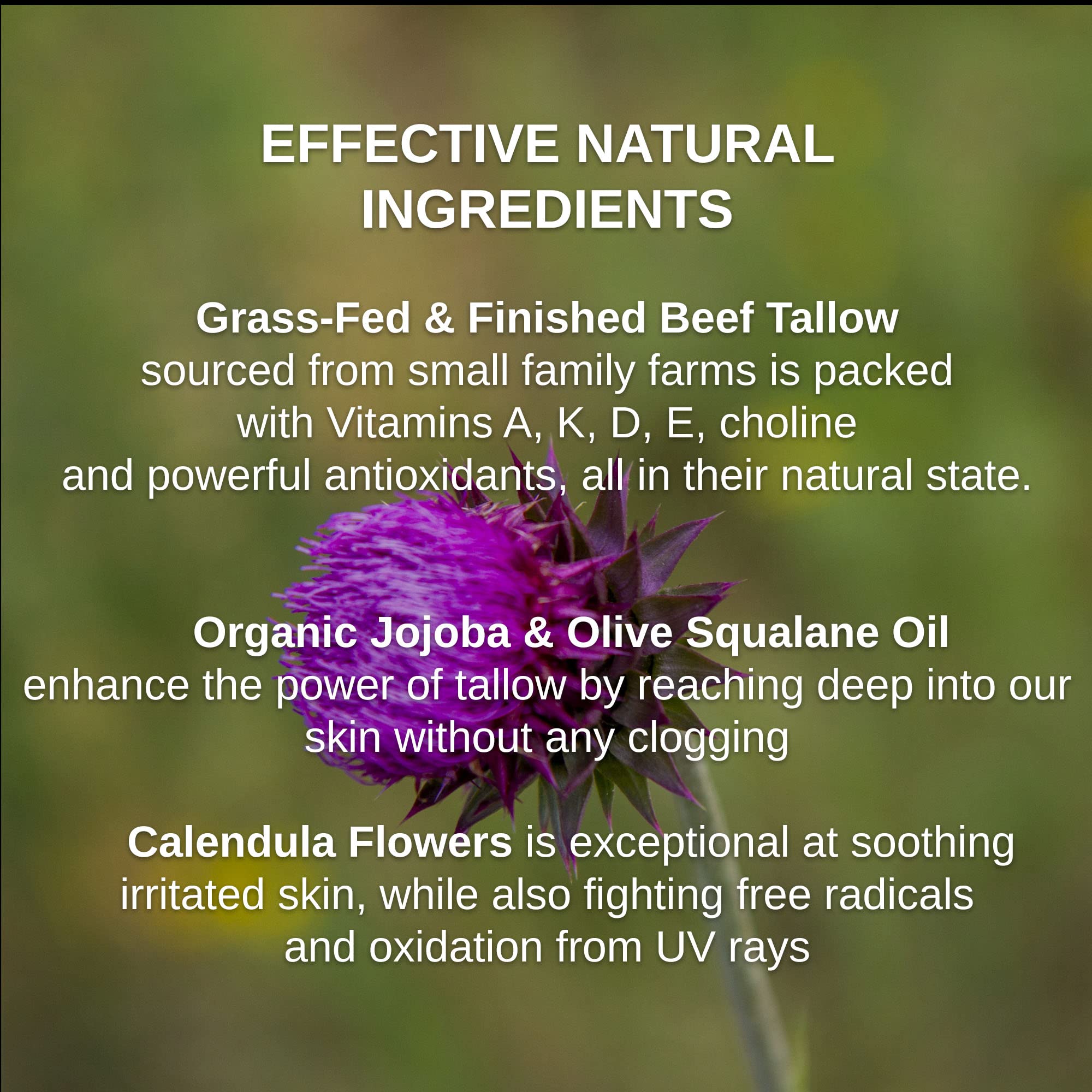 Calendula flowers featured in Shwally balm for gentle skin support during sun exposure