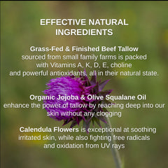 Calendula flowers featured in Shwally balm for gentle skin support during sun exposure