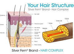 Silver Fern Hair Complex packaging highlights premium ingredients