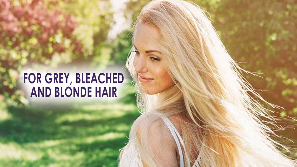 Wet hair after applying Silver Fox shampoo for gentle cleansing on grey tones.