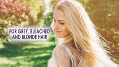 Wet hair after applying Silver Fox shampoo for gentle cleansing on grey tones.