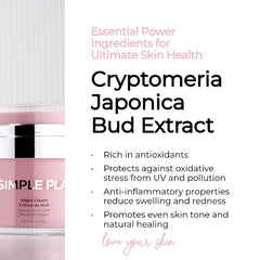 Simple Plan Night Cream on dresser supports consistent evening skincare habit.