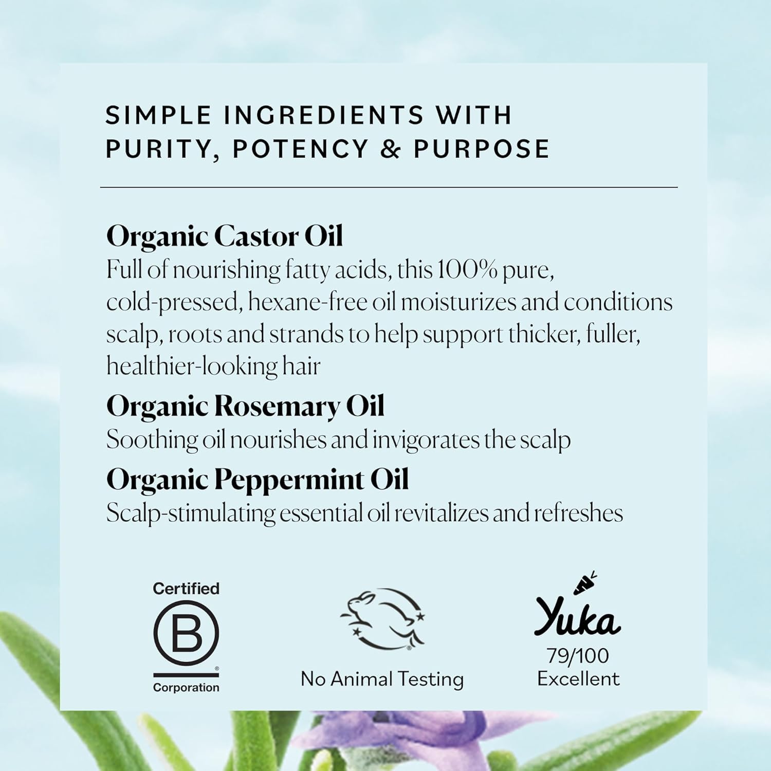 Sky Organics castor oil rosemary with textured hair care focus areas
