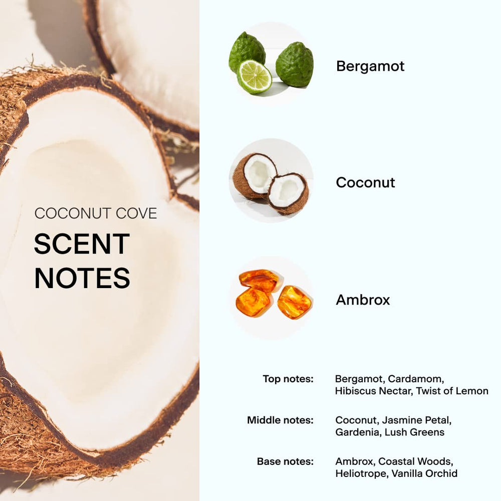Skylar Coconut Cove base notes image with ambrox and vanilla orchid warmth.