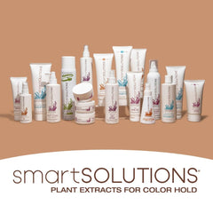 SMART SOLUTIONS Flexible Holding Spray easy wash-out for refreshed styling