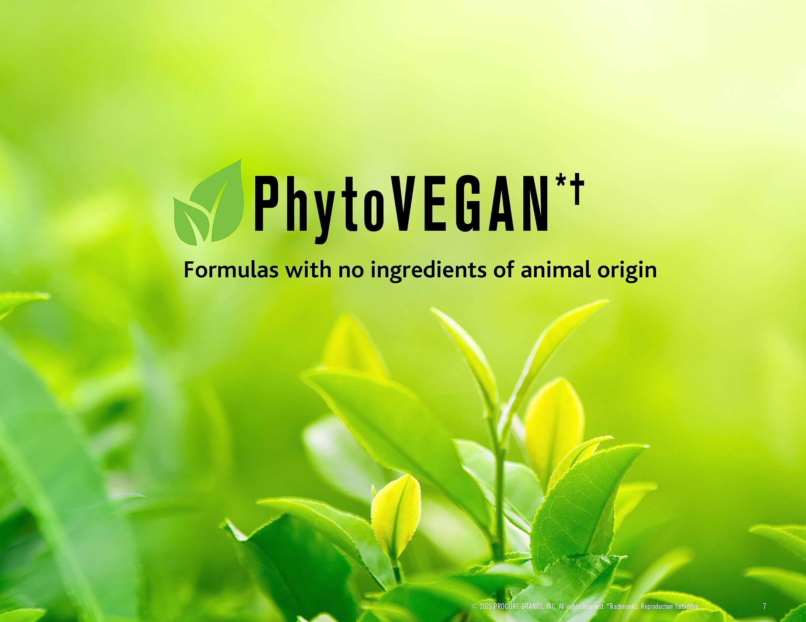 SNOBGIRLS Lumière Highcure daily-use option for bleached and color-treated hair