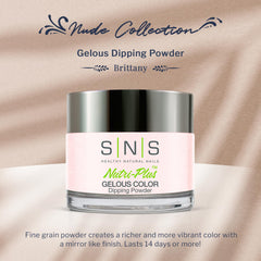 SNS Brittany dip powder bottle on display for quick at-home manicures.