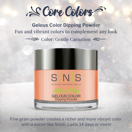 SNS Nail Dip Powder Gentle Carnation swatches reveal creamy nude tones for everyday wear.