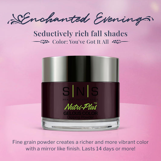 SNS Enchanted Evening color swatch shows rich purple-plum with shimmer