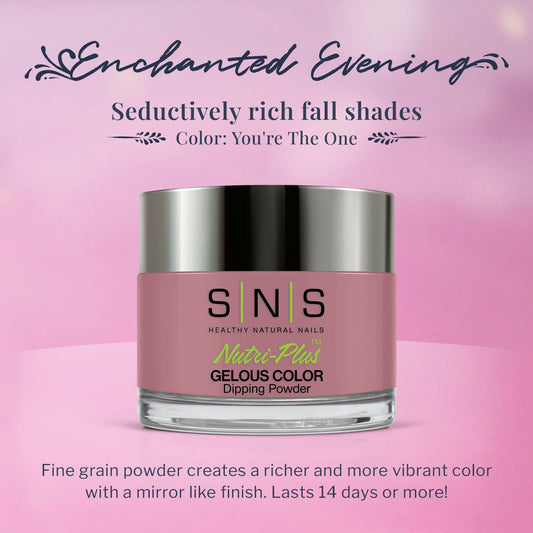 SNS Nail Dip Powder You're The One pink color swatch shows long-lasting color preview.