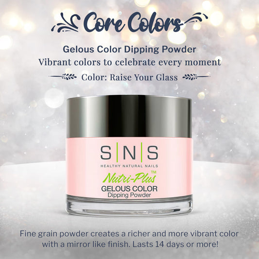 SNS Raise Your Glass swatches display rich nude tones for reference