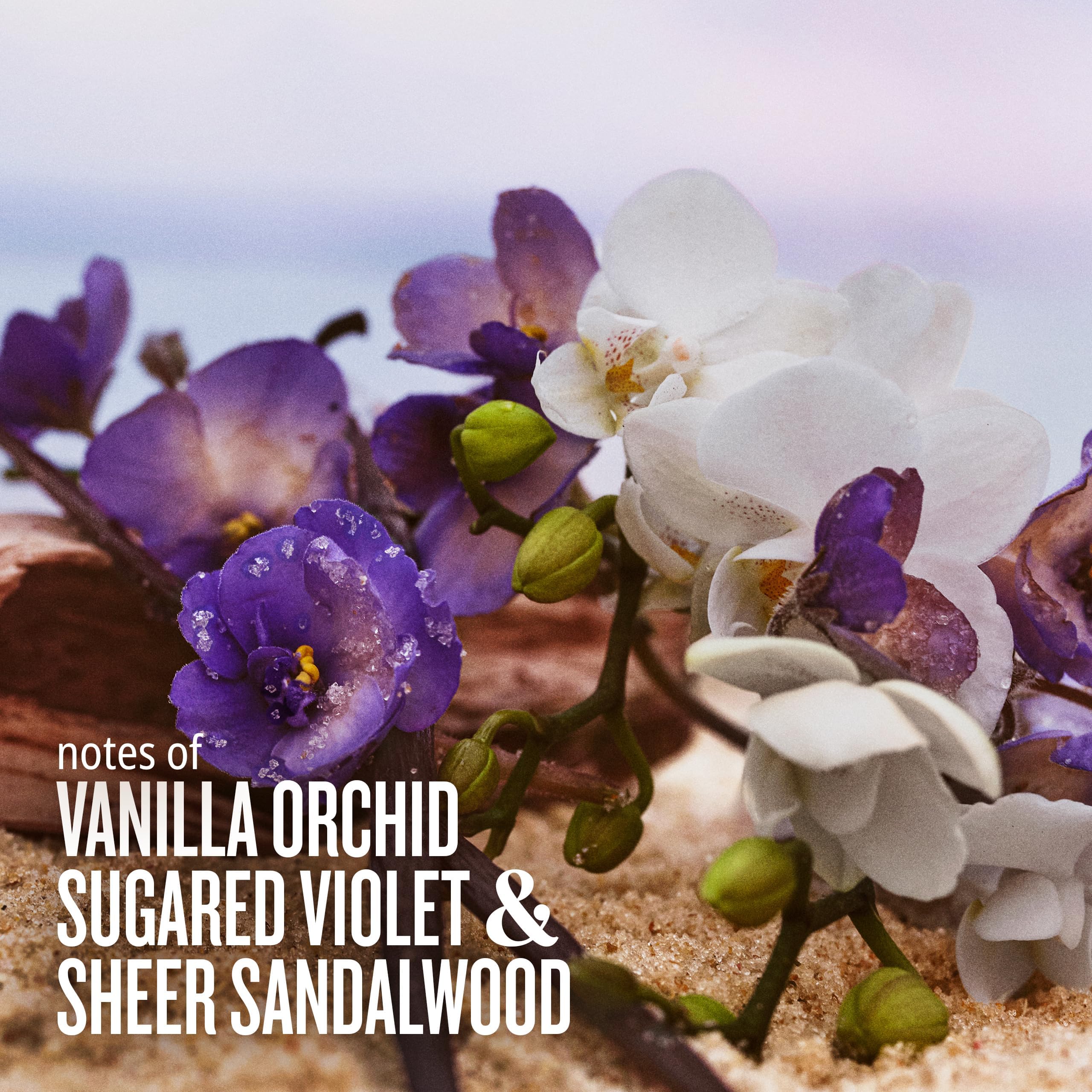 Sol de Janeiro Cheirosa 59 bottle with sandalwood warmth emphasis