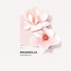Person applying Solinotes Magnolia to pulse points for a refined aroma