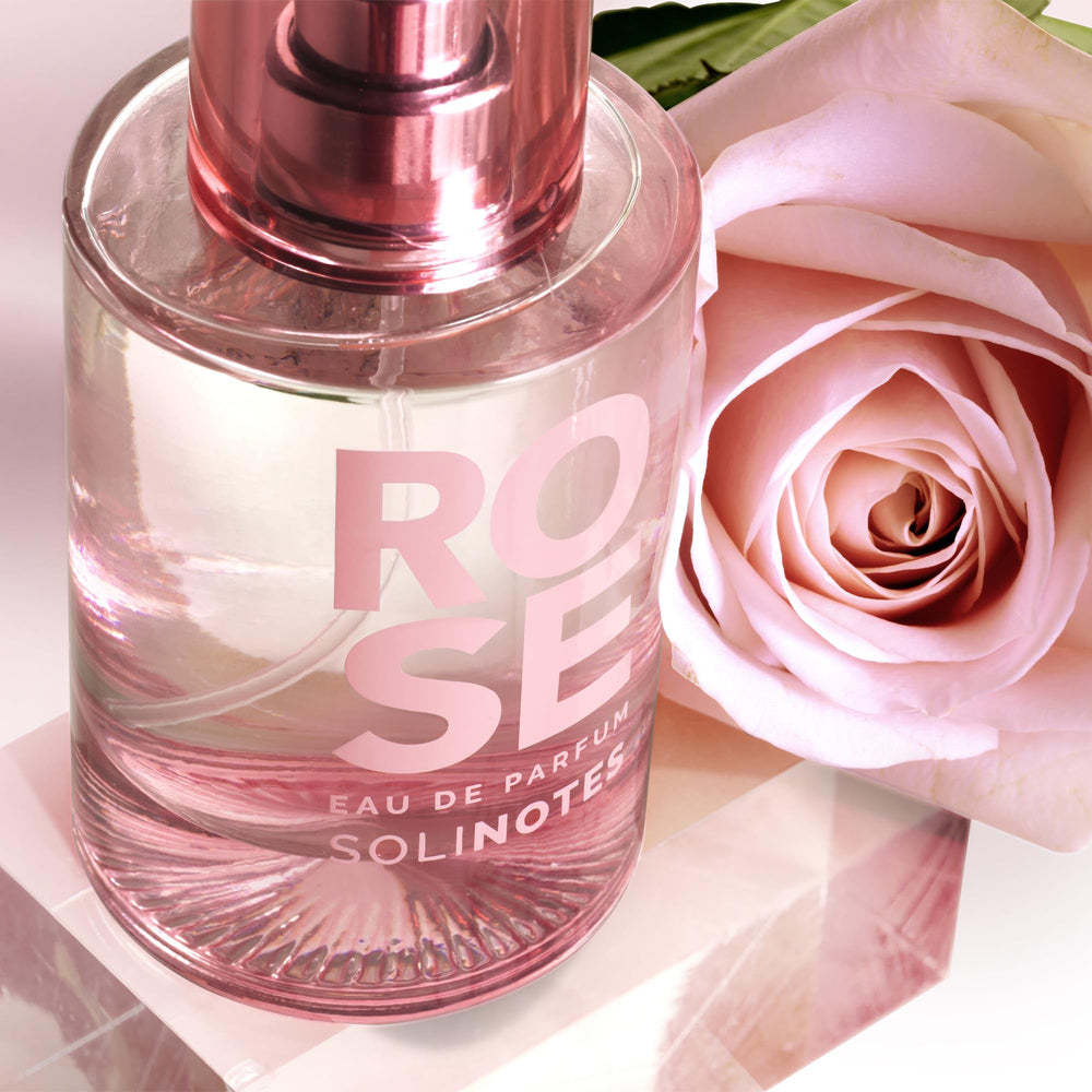 Solinotes Rose rose flower image conveying romantic floral focus.