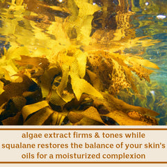Solluna Hydrating Anti-Aging Moisturizer box highlights non-GMO, USA-made quality.