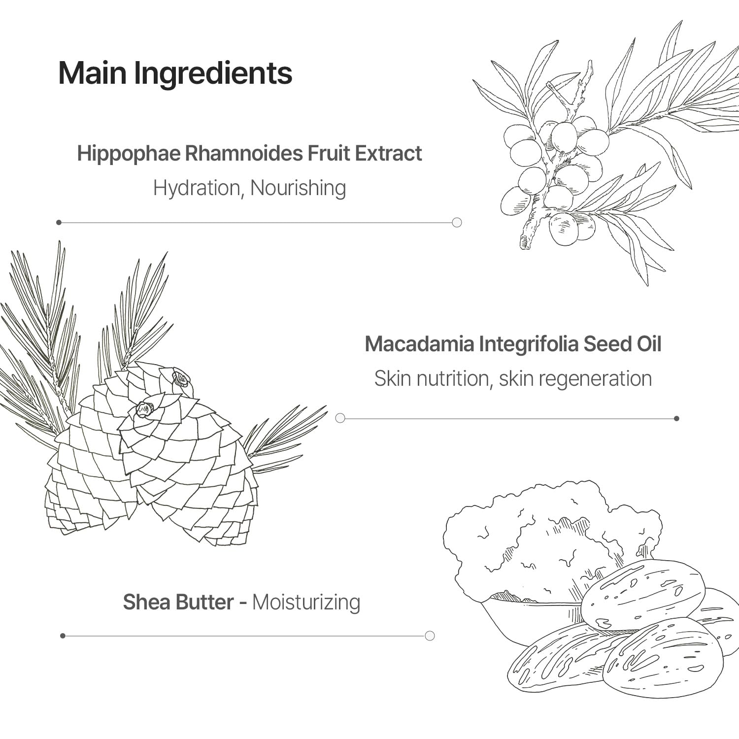 SONREVE phytosphingosine component close-up illustrating barrier-strengthening properties.