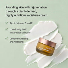 SONREVE rich night formula swatch conveys luxurious creaminess for nighttime use.