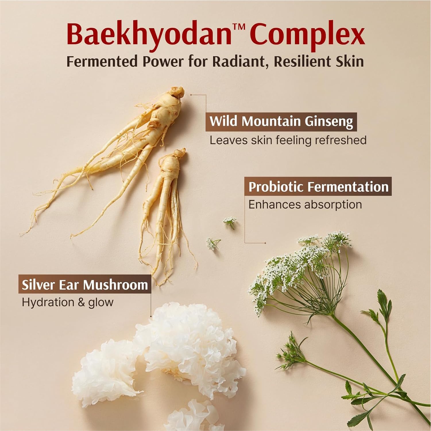 Sooryehan Hyobidam cream jar provides nourishing care without heaviness.