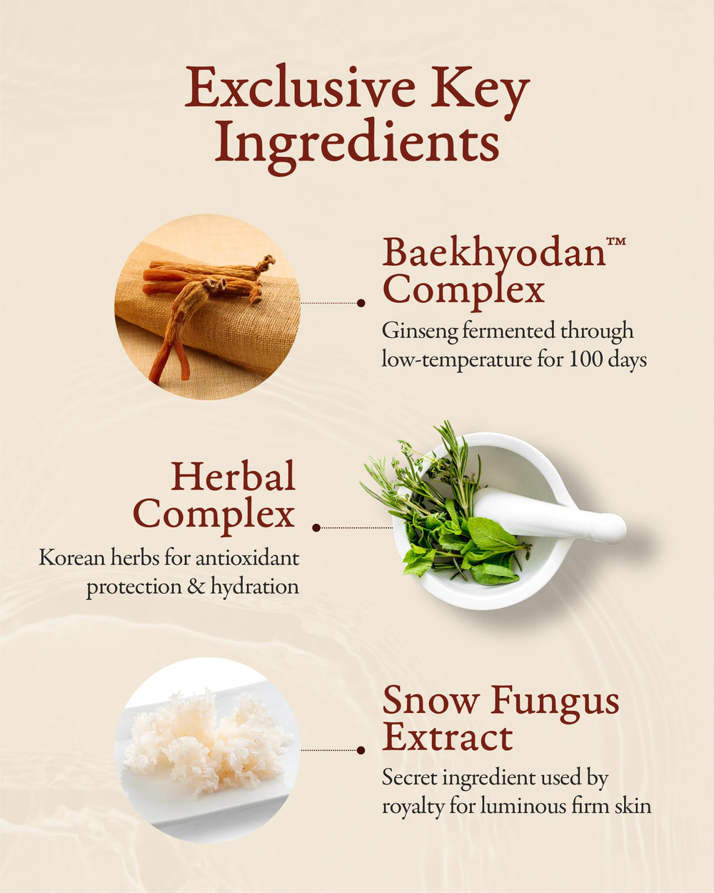 Sooryehan Hyobidam Cream seals moisture for lasting elasticity.
