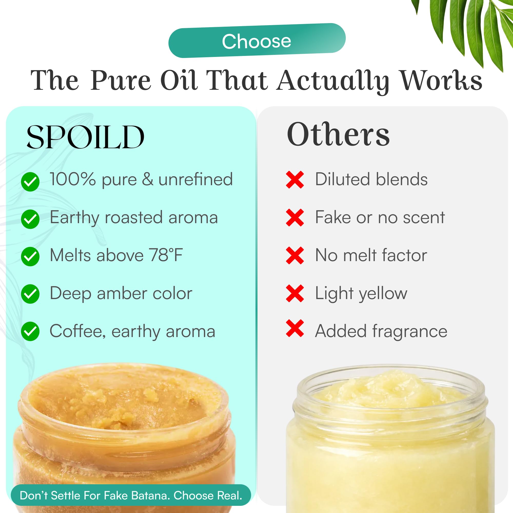 Spoild Batana Oil origin Honduras – authentic, traditional hair care formula.