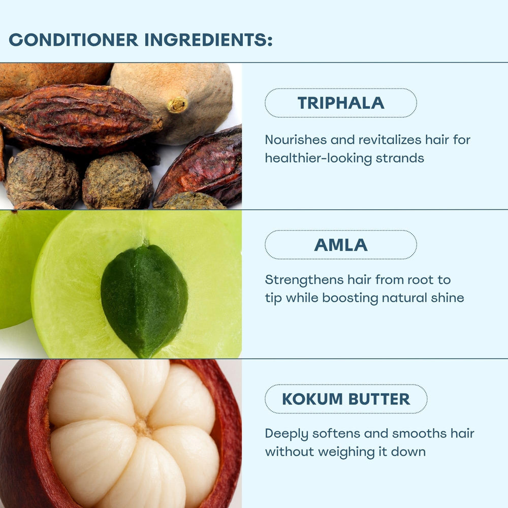 Kokum butter and moringa oil imagery signaling moisture and softness