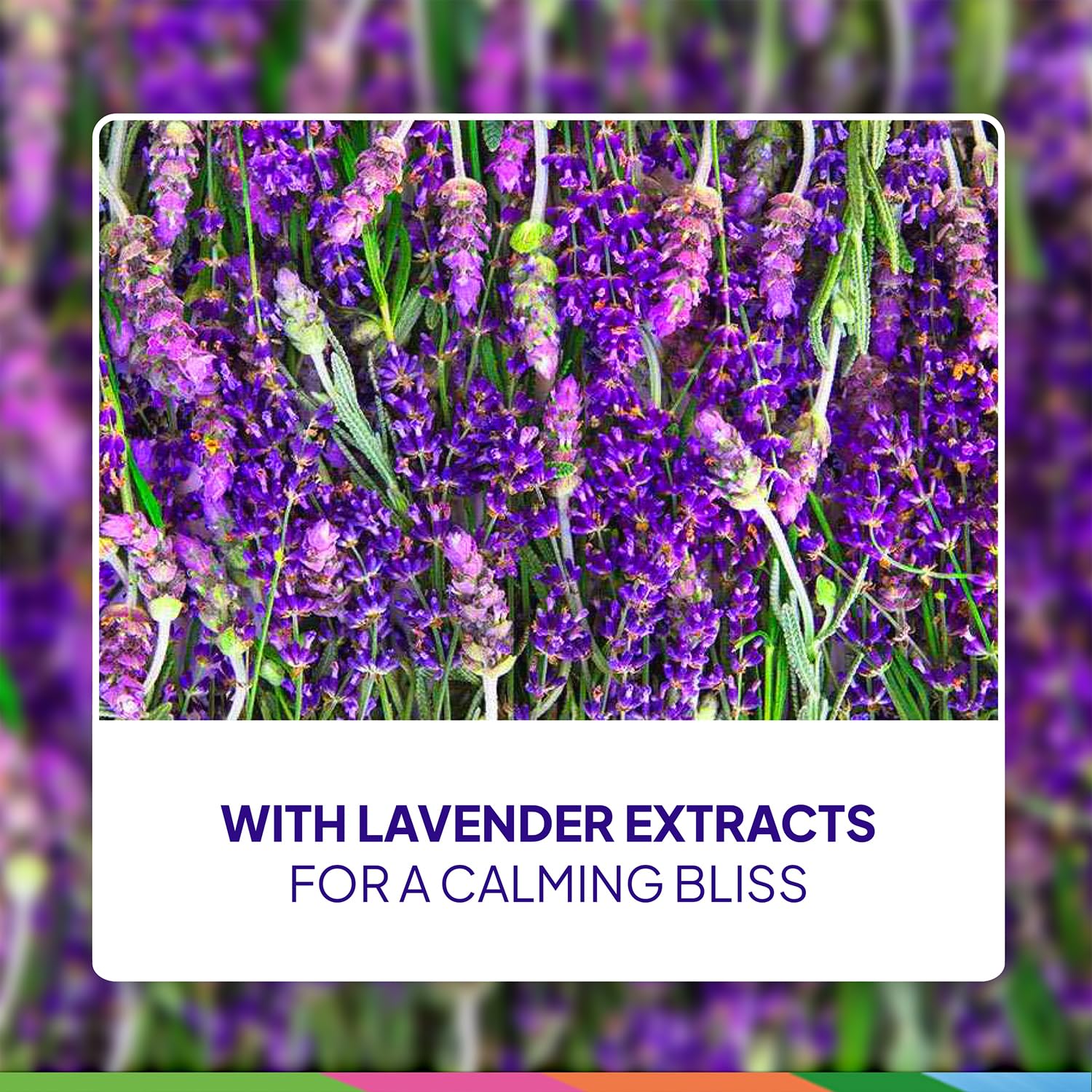 St. Ives Lavender Chamomile shower relaxation promotes spa-like calm.