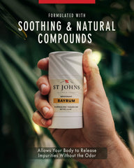 St. Johns Bay Rum scent notes chart with top, heart, and base notes.