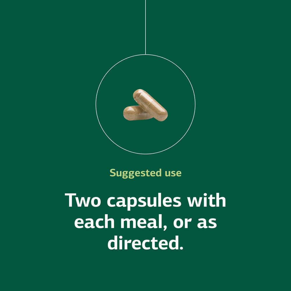 Zymex packaging emphasizes whole-food nutrition for digestive support.