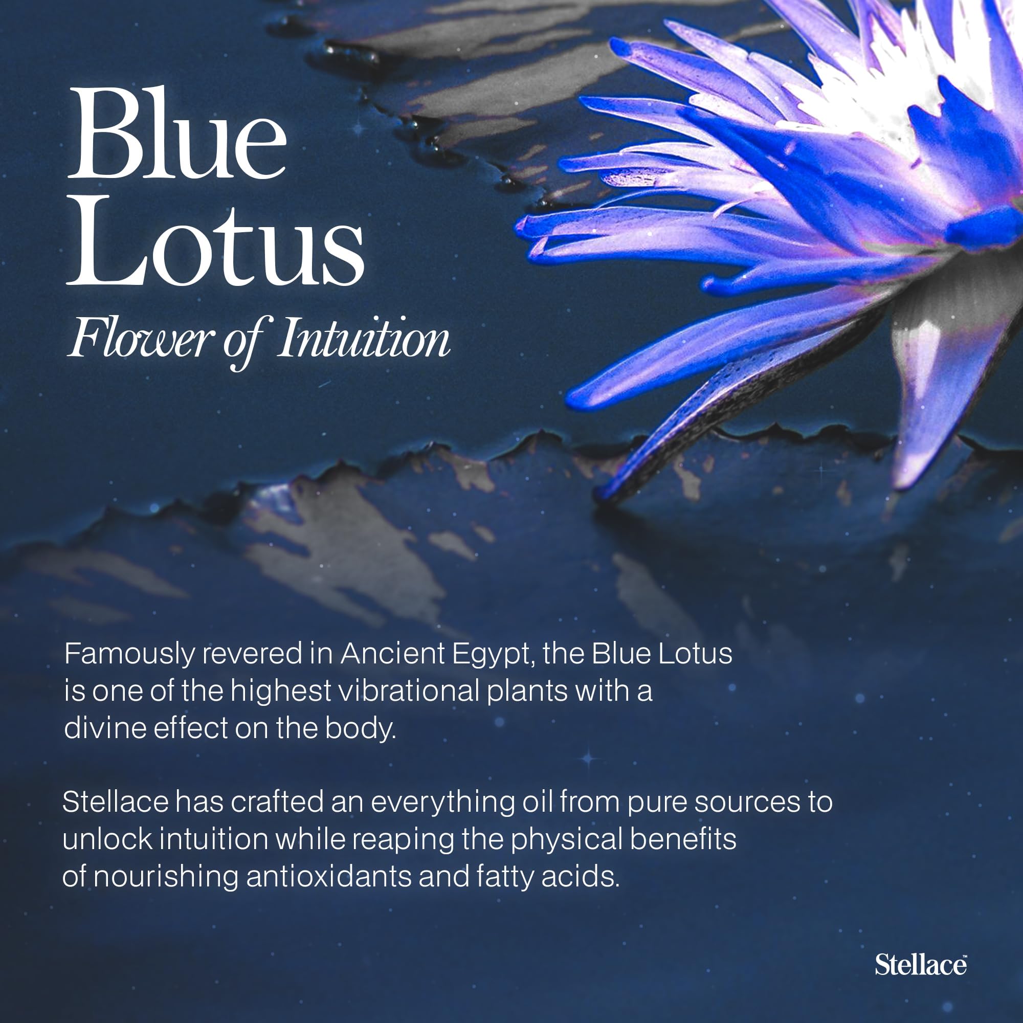Stellace Blue Lotus Moringa Oil on skin demonstrates gentle absorption and hydration