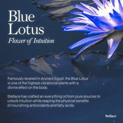 Stellace Blue Lotus Moringa Oil on skin demonstrates gentle absorption and hydration