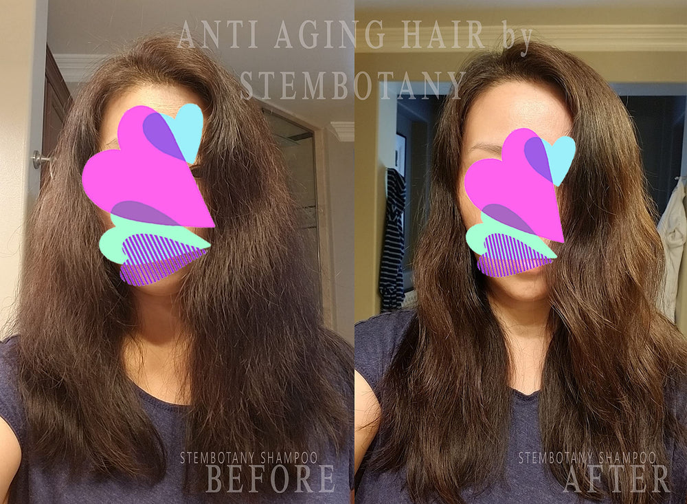 StemBotany shampoo lather demonstrates gentle cleansing suitable for all hair types.