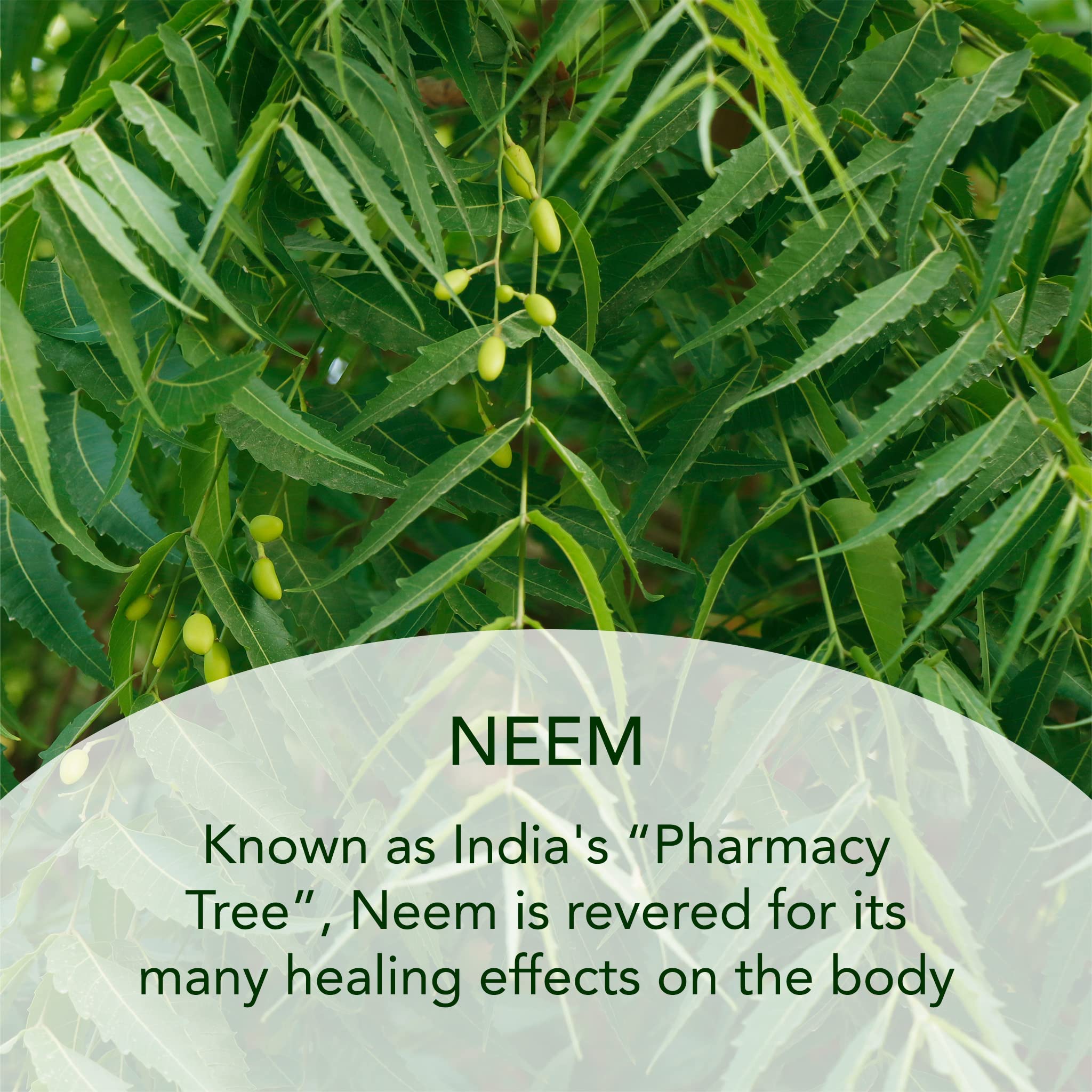 Close-up of sodium hyaluronate in SUNDARI Neem Night Cream.
