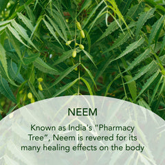 Close-up of sodium hyaluronate in SUNDARI Neem Night Cream.