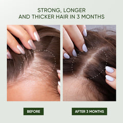 Svvimer Rosemary Shampoo ingredients with biotin and tea tree oil for a refreshed scalp