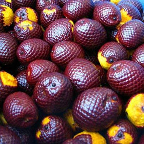 Sweet Essentials Buriti oil dropper — precise application to face, scalp, and ends.