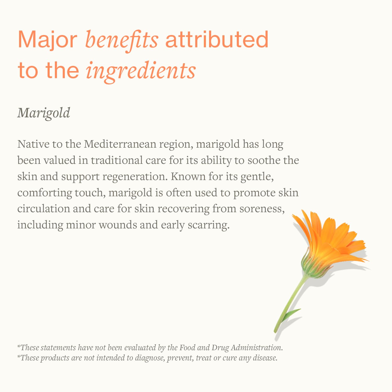 Close-up of ingredients like marigold and soy in SwissJust Cream.