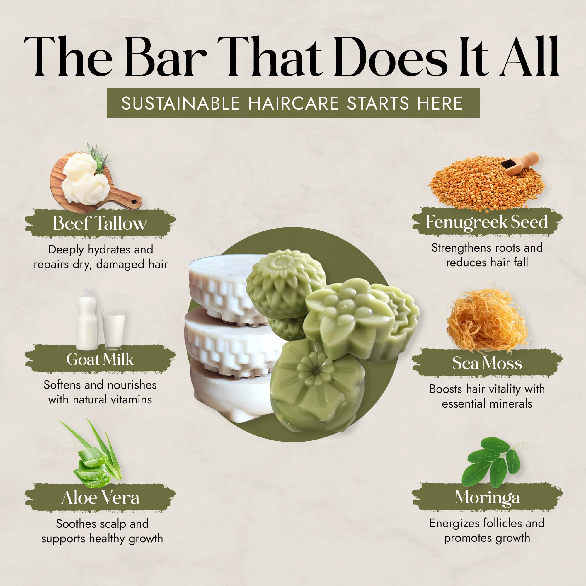 Ingredients display: aloe vera, moringa, fenugreek for nourishing care