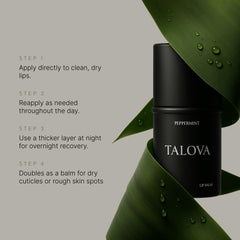 TALOVA peppermint lip balm night routine tin demonstrates overnight nourishment
