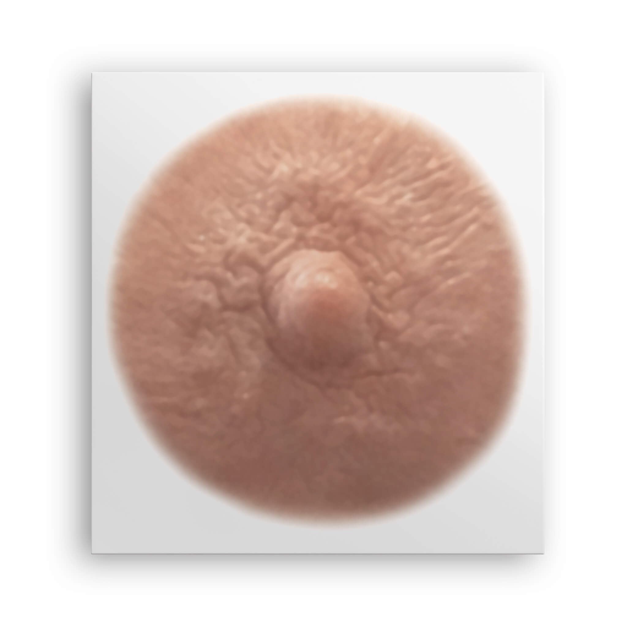 TataTattoos realistic nipple and areola in cream small pack, natural look for recovery.