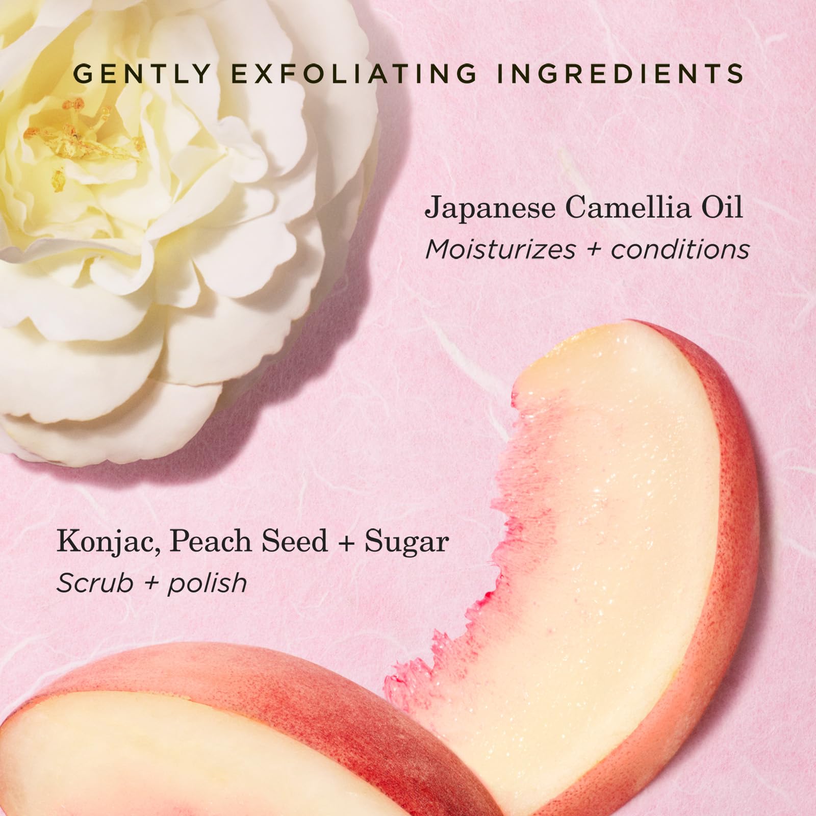 Tatcha Kissu Lip Scrub sugar crystals detail emphasizing softening and conditioning