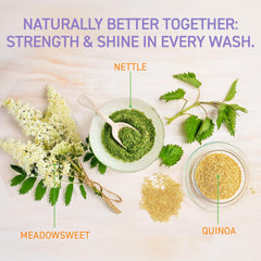 TBH Shampoo texture closeup reveals creamy lather and gentle cleansing.