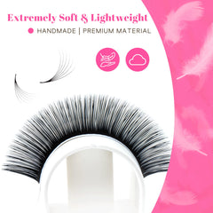 TDANCE Cashmere Easy Fan Lashes DD curl with stable curl