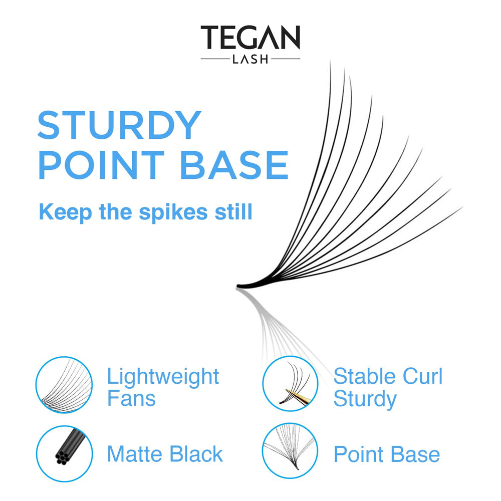 TEGAN LASH various curl options C CC and D for versatile eye enhancements