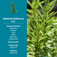 Terre De Vie rosemary leaves highlight botanical enrichment for revitalized hair